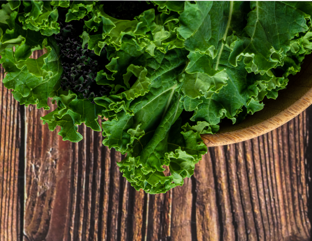 10 Foods That Help Reduce High Blood Pressure Kanoxmed